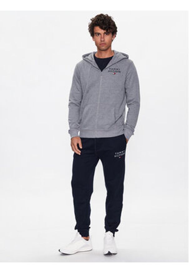 TOMMY HILFIGER - Tommy Hilfiger Bluza UM0UM02879 Szary Regular Fit. Kolor: szary. Materiał: bawełna