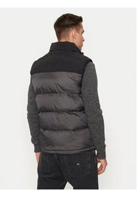 Schott NYC Bezrękawnik UTAHV Szary Regular Fit. Kolor: szary. Materiał: syntetyk. Długość rękawa: bez rękawów #2