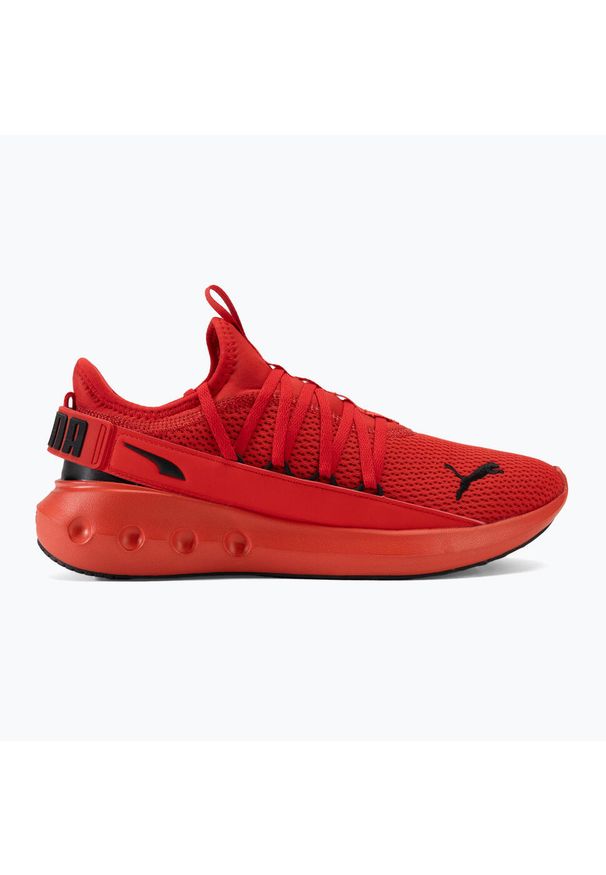 Adidasy Puma Softride Carson Fresh, Dla obu płci. Kolor: czerwony. Materiał: syntetyk, materiał. Szerokość cholewki: normalna. Sport: bieganie