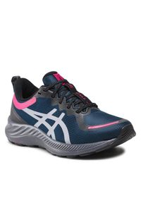 Buty do biegania Asics. Kolor: niebieski
