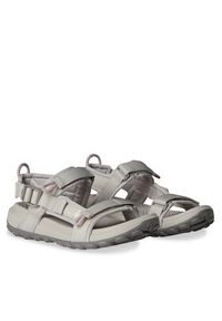 The North Face Sandały NF0A8ADR7F51 Szary. Kolor: szary. Materiał: materiał #3