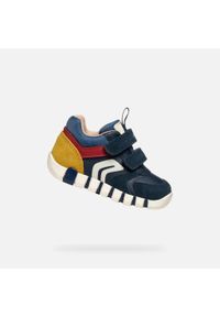 Geox - Buty GEOX B IUPIDOO BOY Niebieski. Okazja: na co dzień. Kolor: czerwony, niebieski, wielokolorowy. Materiał: skóra