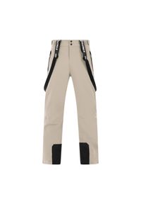 Spodnie narciarskie Protest Chester. Kolor: wielokolorowy, beżowy, brązowy. Sezon: zima. Sport: narciarstwo #1