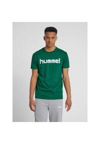 Koszulka sportowa z krótkim rękawem męska Hummel Cotton Logo. Kolor: zielony, biały, wielokolorowy. Długość rękawa: krótki rękaw. Długość: krótkie #1