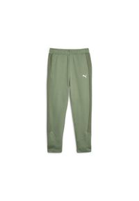 Puma Spodnie Evostripe Hw 67607544. Kolor: zielony, wielokolorowy, szary