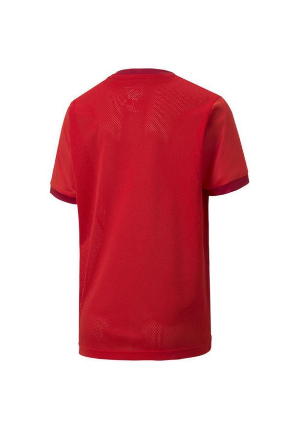 Koszulka dla dzieci Puma teamGOAL 23 Jersey. Kolor: czerwony. Materiał: poliester