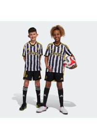 Spodenki do piłki nożnej dla dzieci Adidas Juventus 23/24 Home Kids. Kolor: wielokolorowy, czarny, żółty. Materiał: materiał #1