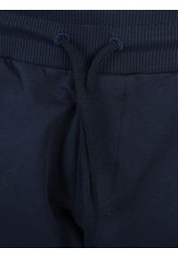 Bikkembergs Spodnie | C 1 44S GS E B054 | Mężczyzna | Granatowy. Okazja: na co dzień. Kolor: niebieski. Materiał: bawełna, elastan. Wzór: aplikacja. Styl: casual #4
