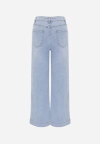 Renee - Jasnoniebieskie Bawełniane Jeansy High Waist Wide Leg Heltora. Okazja: na co dzień. Stan: podwyższony. Kolor: niebieski. Długość: krótkie. Styl: casual, klasyczny #7