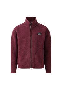 DARE 2B - Kurtka Dziecięca Zesty II Fleece Jacket. Kolor: fioletowy. Sezon: zima #1
