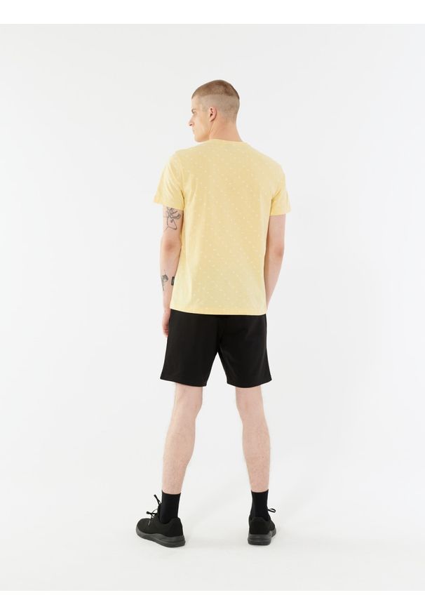 outhorn - T-shirt z nadrukiem męski. Okazja: na co dzień. Materiał: bawełna, dzianina, materiał. Wzór: nadruk. Styl: wakacyjny, casual