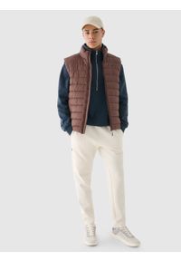 4f - 4F Bezrękawnik puchowy z wypełnieniem syntetycznym męski - brązowy L. Okazja: na co dzień. Typ kołnierza: kołnierzyk stójkowy. Kolor: brązowy. Materiał: puch, syntetyk. Długość rękawa: bez rękawów. Długość: długie. Styl: casual, klasyczny, sportowy #2