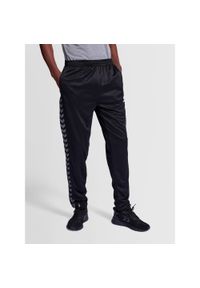 Spodnie dresowe polyesterowe Hummel Authentic. Kolor: czarny. Materiał: dresówka. Sport: fitness, piłka nożna #1