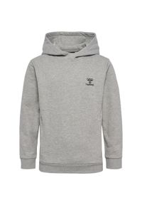 Bluza z kapturem dla dzieci Hummel Off-Grid. Typ kołnierza: kaptur. Kolor: szary. Sport: piłka ręczna #1