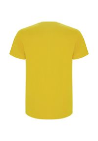 ROLY - Męska Koszulka Stafford. Kolor: żółty. Sport: turystyka piesza #2