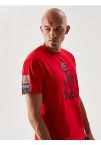Diverse - T-shirt męski z nadrukiem DKR 0122 S1834 - - Rozmiar: L. Kolor: szary. Materiał: bawełna. Wzór: nadruk #3
