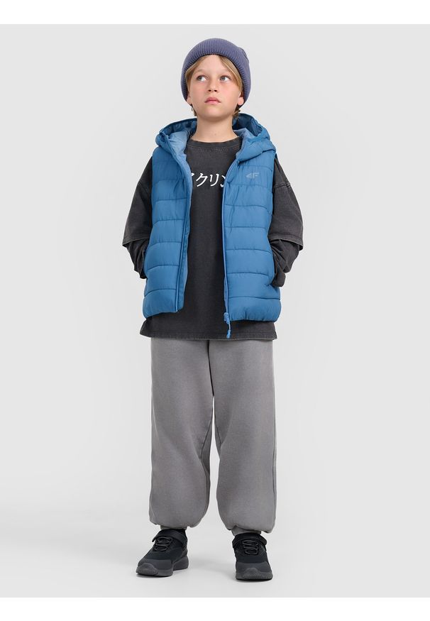 4f - 4F Bezrękawnik puchowy z wypełnieniem syntetycznym chłopięcy - granatowy 164 (13-14 lat). Okazja: na co dzień. Typ kołnierza: kaptur. Kolor: niebieski. Materiał: puch, syntetyk. Długość rękawa: bez rękawów. Długość: krótkie. Sezon: lato. Styl: casual, klasyczny, sportowy