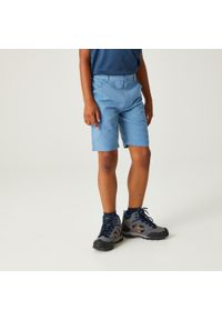 Regatta - Sorcers II dziecięce spodnie trekkingowe. Kolor: niebieski. Materiał: poliester. Styl: sportowy. Sport: turystyka piesza #1