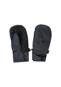 Rękawice narciarskie Whistler Reita. Kolor: czarny. Sezon: zima. Sport: narciarstwo #1