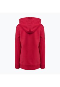 CAPELLI SPORT - Bluza piłkarska dziecięca Capelli Basics Youth Zip Hoodie. Kolor: czerwony. Sport: piłka nożna