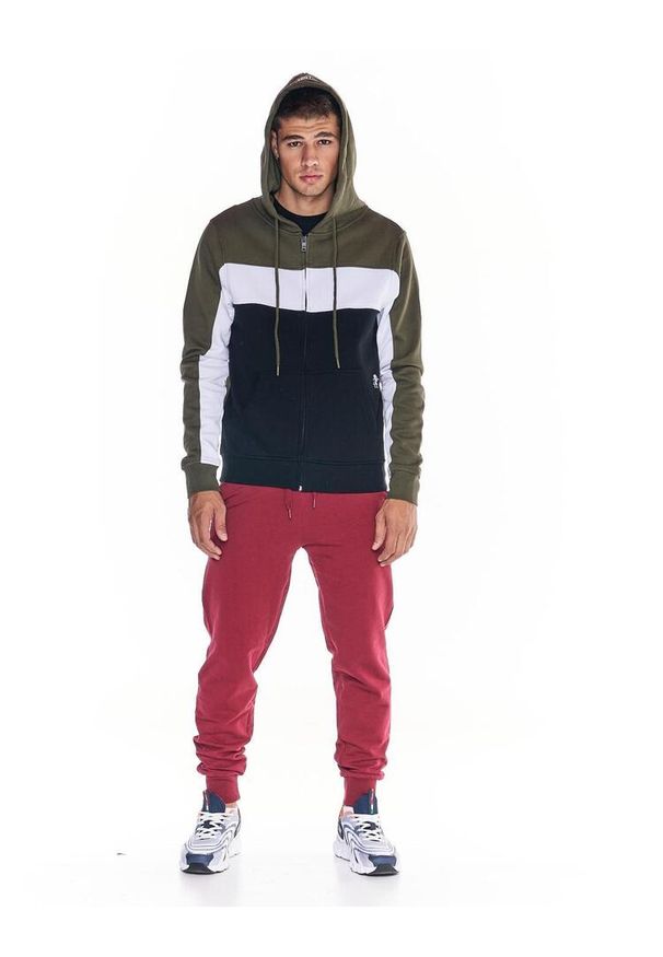 LEONE 1947 APPAREL - Męska bluza z kapturem i zamkiem błyskawicznym na całej długości Earth Tones. Typ kołnierza: kaptur. Kolor: zielony. Materiał: tkanina. Sport: fitness