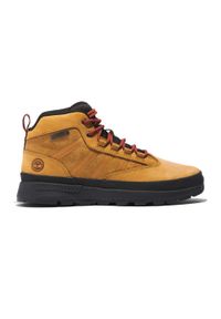 Buty męskie Timberland Euro Trekker Mid Leather. Kolor: żółty, wielokolorowy, czarny. Sezon: zima. Sport: turystyka piesza