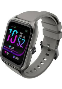 Smartwatch HiFuture FutureFit Ultra 2 Pro Szary (FitUltra2Pro (grey)). Rodzaj zegarka: smartwatch. Kolor: szary