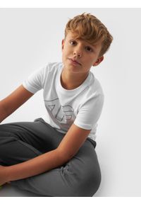 4f - 4F T-shirt z nadrukiem chłopięcy - biały 122 (6-7 lat). Okazja: na co dzień. Kolor: biały. Materiał: bawełna, jersey, dzianina. Długość rękawa: krótki rękaw. Długość: krótkie. Wzór: nadruk. Sezon: lato. Styl: sportowy, casual
