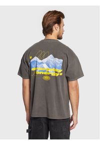BDG Urban Outfitters T-Shirt 75326751 Szary Regular Fit. Kolor: szary. Materiał: bawełna
