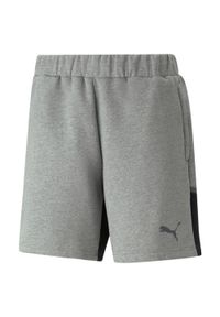 Puma Teamcup szorty szare 2XL. Kolor: czarny, szary, wielokolorowy. Sport: piłka nożna