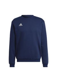 Adidas - Bluza adidas Entrada 22. Kolor: niebieski. Materiał: bawełna, materiał, poliester. Sport: fitness