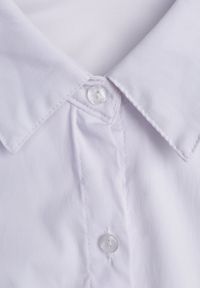 Born2be - Biała Koszula na Guziki Jejorra. Okazja: na spotkanie biznesowe, do pracy. Kolor: biały. Materiał: tkanina, bawełna, jeans, wiskoza. Styl: biznesowy, klasyczny, elegancki #4