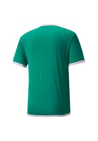 Koszulka męska Puma teamLIGA Jersey. Kolor: biały, zielony, wielokolorowy. Materiał: jersey