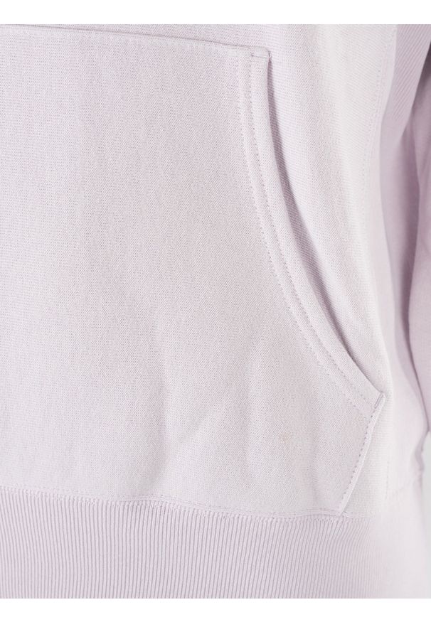 Champion Bluza | 212574 | Mężczyzna | Fioletowy. Okazja: na co dzień. Typ kołnierza: kaptur. Kolor: fioletowy. Materiał: bawełna. Styl: casual