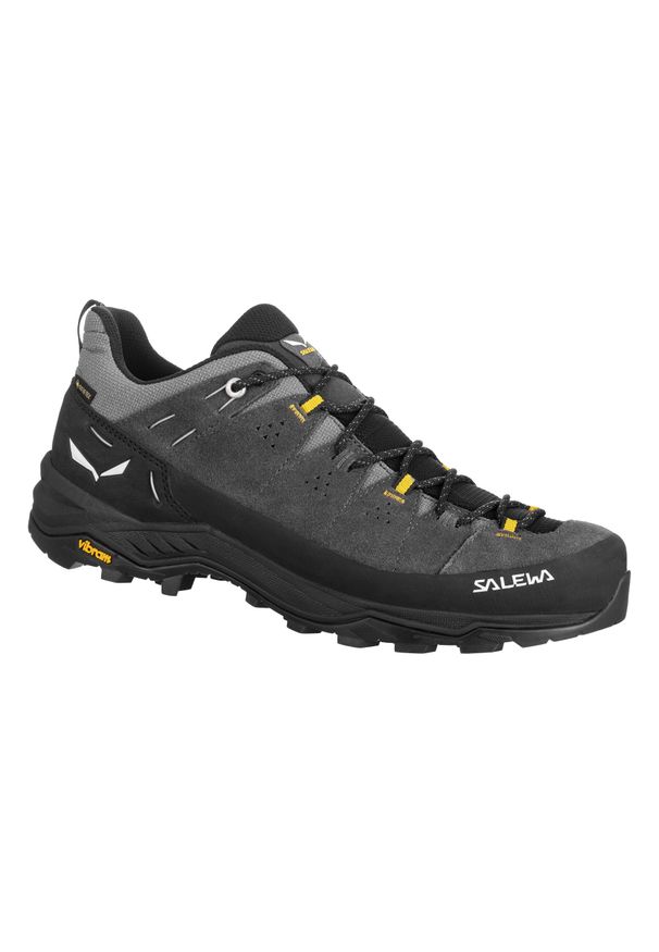 Buty Trekkingowe Męskie Salewa Alp Trainer 2 Gtx. Kolor: szary, wielokolorowy, czarny. Materiał: zamsz, guma. Sport: turystyka piesza