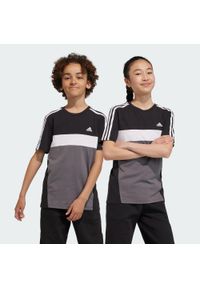 Adidas - Koszulka Tiberio 3-Stripes Colorblock Cotton Kids. Kolor: czarny, szary, wielokolorowy, brązowy, biały. Materiał: bawełna. Sport: joga i pilates