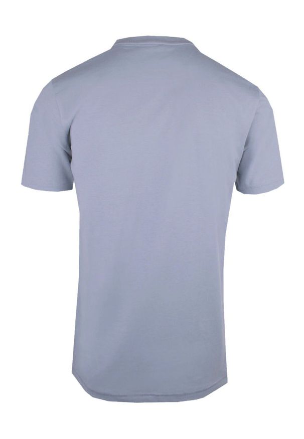 T-Shirt (Koszulka) Męska - Pako Jeans - Stalowa, Duży Nadruk. Okazja: na co dzień. Kolor: szary. Materiał: bawełna. Wzór: nadruk. Styl: casual