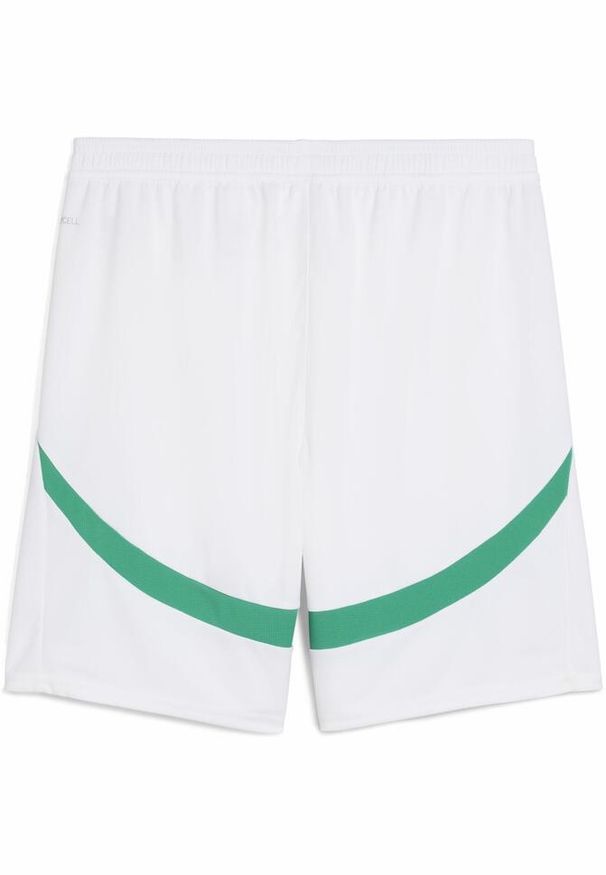 Puma - Męskie szorty Senegal 2025 PUMA White Sport Green. Kolor: biały, wielokolorowy, zielony. Wzór: aplikacja