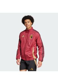 Adidas - Bluza Belgium Anthem. Kolor: brązowy, wielokolorowy, beżowy, czerwony. Materiał: materiał