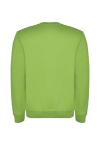 ROLY - Bluza Dziecięca Clasica Z Okrągłym Dekoltem. Kolor: zielony