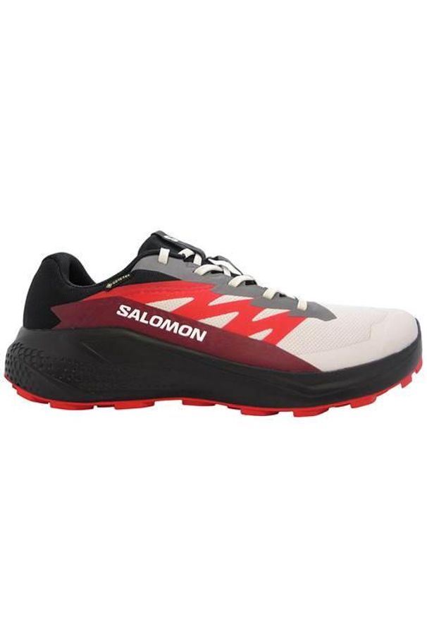 salomon - Buty do biegania męskie Salomon Alphaglide Gtx. Kolor: wielokolorowy. Materiał: materiał, syntetyk. Szerokość cholewki: normalna