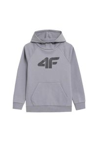 4f - Bluza Dziecięce 4F. Kolor: szary #1