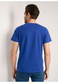 Ochnik - T-shirt męski. Kolor: niebieski. Materiał: bawełna #2