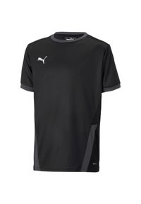 Koszulka dla dzieci Puma teamGOAL 23 Jersey. Kolor: czarny. Materiał: jersey #1