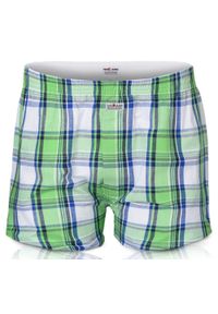 Luźne Męskie Bokserki, Bawełniane - Pako Jeans - Zielone w Kratę. Kolor: zielony. Materiał: bawełna #1