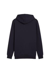Puma - Męska Bluza Z Logo Essentials. Kolor: niebieski
