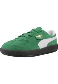 Tenisówki Puma Model Palermo Jr Kolor Zielony. Kolor: zielony, biały, wielokolorowy. Materiał: syntetyk, skóra. Sport: turystyka piesza