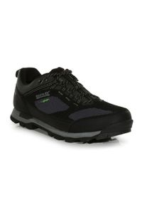 Buty trekkingowe męskie Regatta Blackthorn Evo Low wodoodporne. Kolor: szary