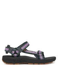 Teva Sandały Hydratrek Sandal 1150270 Kolorowy. Materiał: materiał. Wzór: kolorowy #2