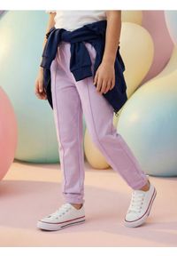 Sinsay - Spodnie jogger z dzianiny terry - fioletowy. Kolor: fioletowy. Materiał: dzianina #1